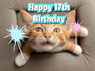 Happy Birthday Age 17 GIF, 17th Birthday GIF