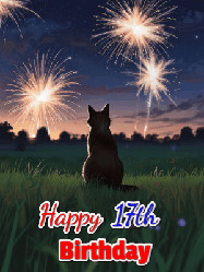 Happy Birthday Age 17 GIF, 17th Birthday GIF: An animated gif at night showing the backside of a sitting cat who watches sparkle and fireworks over a meadow. Customize name and happy birthday.