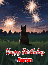 Happy Birthday Aaron GIF: An animated gif at night showing the backside of a sitting cat who watches sparkle and fireworks over a meadow. Customize name and happy birthday.