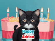 Happy Birthday Adrian GIF