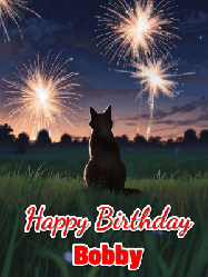 Happy Birthday Bobby GIF: An animated gif at night showing the backside of a sitting cat who watches sparkle and fireworks over a meadow. Customize name and happy birthday.