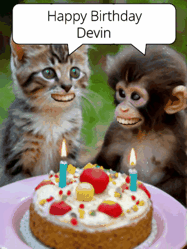 Happy Birthday Devin GIF: GIF with monkey and cake with birthday cake, flickering candles, they talk, a camera flash, big goofy smiles.