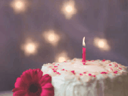 Happy Birthday Jess GIF