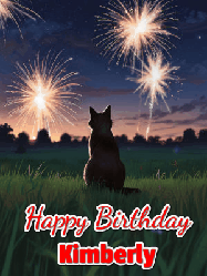 Happy Birthday Kimberly GIF: An animated gif at night showing the backside of a sitting cat who watches sparkle and fireworks over a meadow. Customize name and happy birthday.