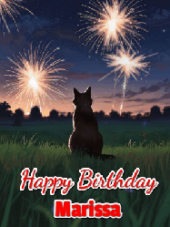 Happy Birthday Marissa GIF: An animated gif at night showing the backside of a sitting cat who watches sparkle and fireworks over a meadow. Customize name and happy birthday.
