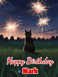 Happy Birthday Mark GIF: An animated gif at night showing the backside of a sitting cat who watches sparkle and fireworks over a meadow. Customize name and happy birthday.