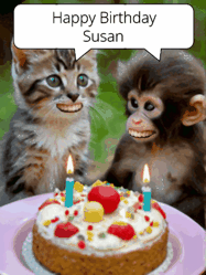 Happy Birthday Susan GIF: GIF with monkey and cake with birthday cake, flickering candles, they talk, a camera flash, big goofy smiles.