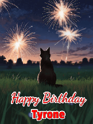 Happy Birthday Tyrone GIF: An animated gif at night showing the backside of a sitting cat who watches sparkle and fireworks over a meadow. Customize name and happy birthday.