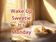 Happy Monday GIF, number 97