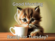 Happy Tuesday GIF, number 15