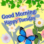 Happy Tuesday GIF, number 32