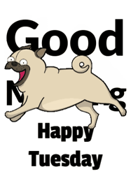 Happy Tuesday GIF, number 47