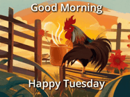 Happy Tuesday GIF, number 5