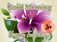Happy Tuesday GIF, number 55