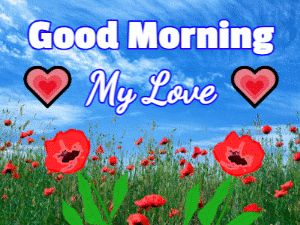 good morning my love gif 10