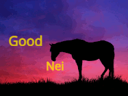 horse good night gif 4