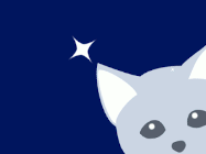 cat good night gif 6