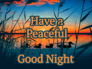 duck good night gif 7
