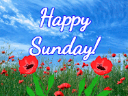happy sunday gif 9