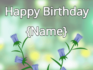Happy Birthday GIF:Happy Birthday Flower GIF tulips & tulips on a green