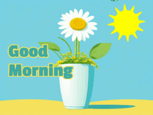 GIF: Potted daisy and visiting bee