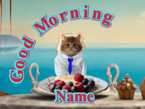 GIF: Cat Breakfast and Tie Selection