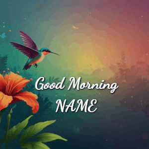 GIF: Hummingbird Good Morning