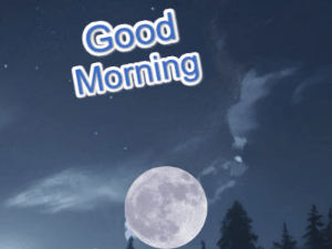 GIF: Good Morning Unicorn Moon Kick