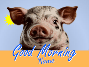 GIF: Cute Pig Good Morning