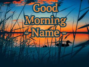 GIF: Morning lake ducks