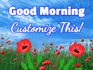 GIF: Swaying morning poppy meadow