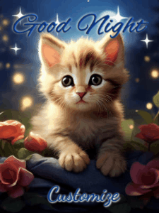 GIF: A Cute Good Night Kitten