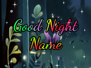 GIF: Nighttime Forest