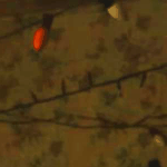 GIF: Stranger Things Halloween Lights