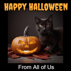 GIF: Black Cat, Ghost, and Pumpkin