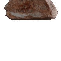 GIF: Rock paper scissors ROCK