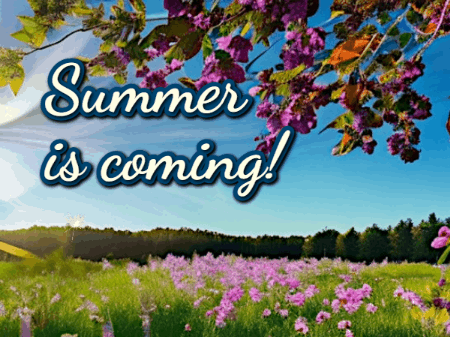 GIF: Summer Flower Meadow